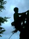 ANTHON2